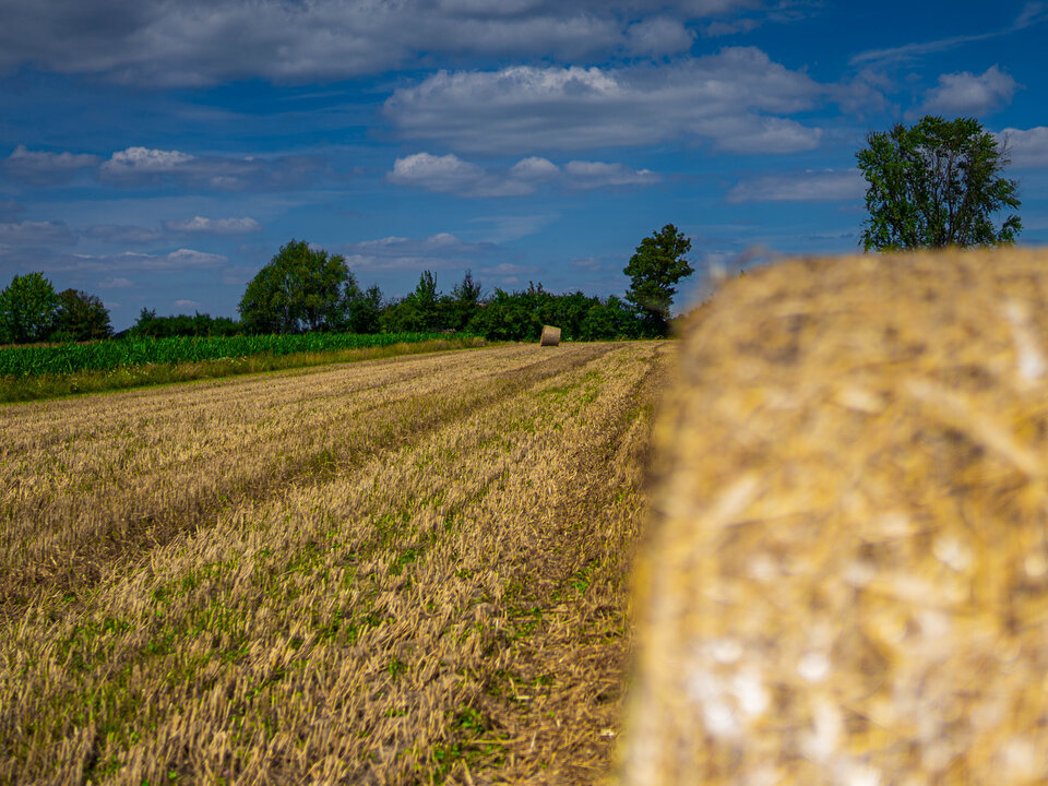 3 - GrzecznyiGrzeszny