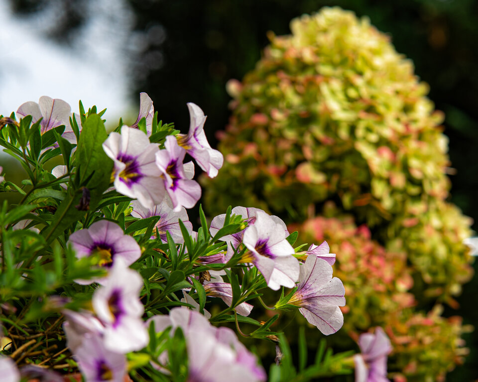 4 - GrzecznyiGrzeszny