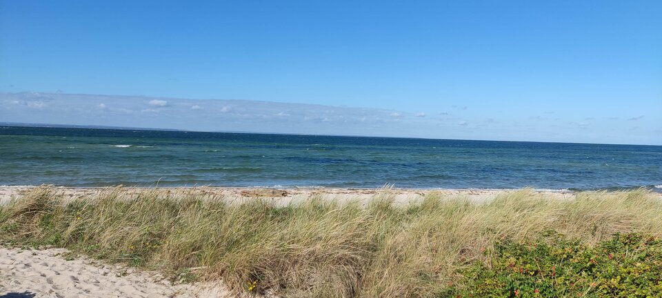 IMG_20250916_101843.jpg - edytkaandrzej