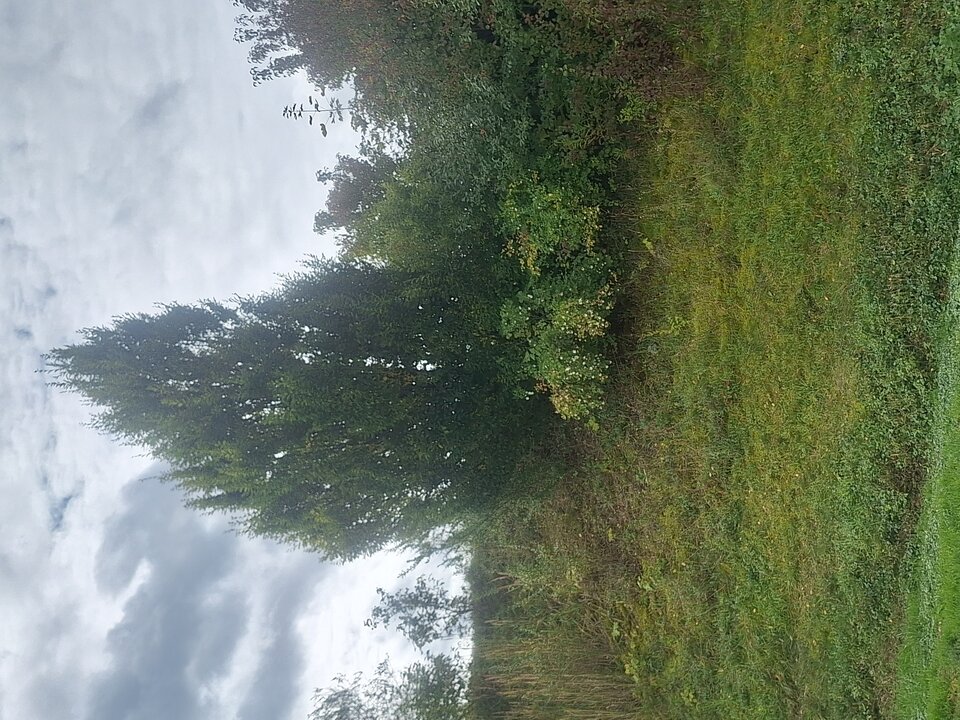 2025-09-1711.45.125758076072235556051.jpg - Niepalefajek