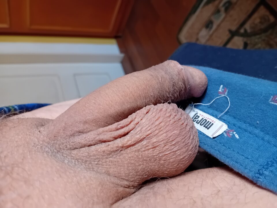 1000008731.jpg - brus13