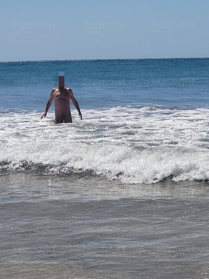 20250901_122824.jpg - Figowylistek