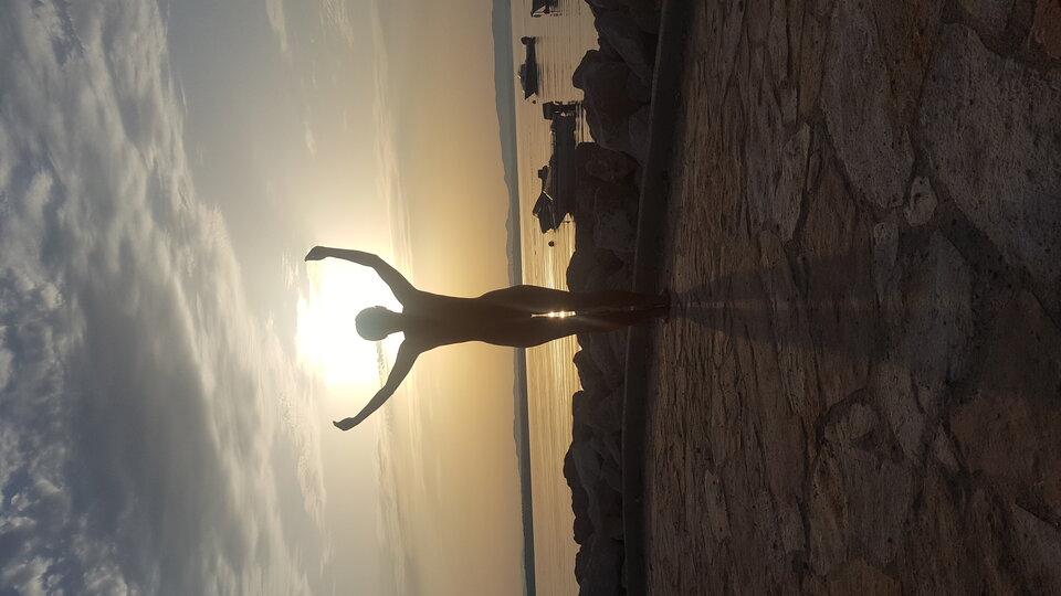 20170809_065706.jpg - dammars