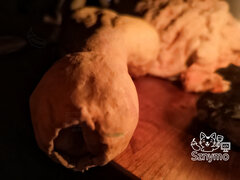 Penisek