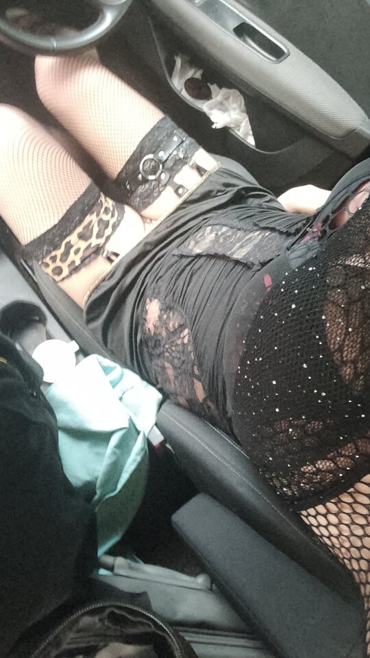 IMG20250917071822.jpg - paulstarkface