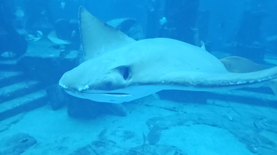 20250703_184237.jpg - xkam1