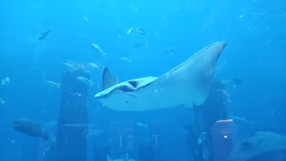 20250703_184227.jpg - xkam1