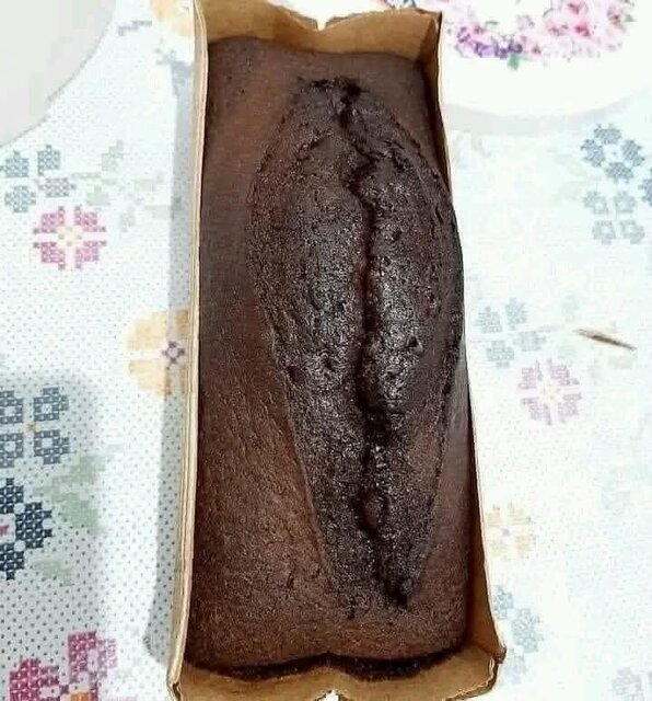 1000014309.jpg - CinnamonSky