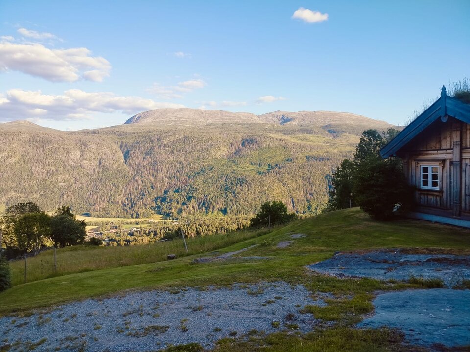 60ac8cd1-74c1-407f-9230-5fbc313e8ddb.jpeg - AREKPSP99898