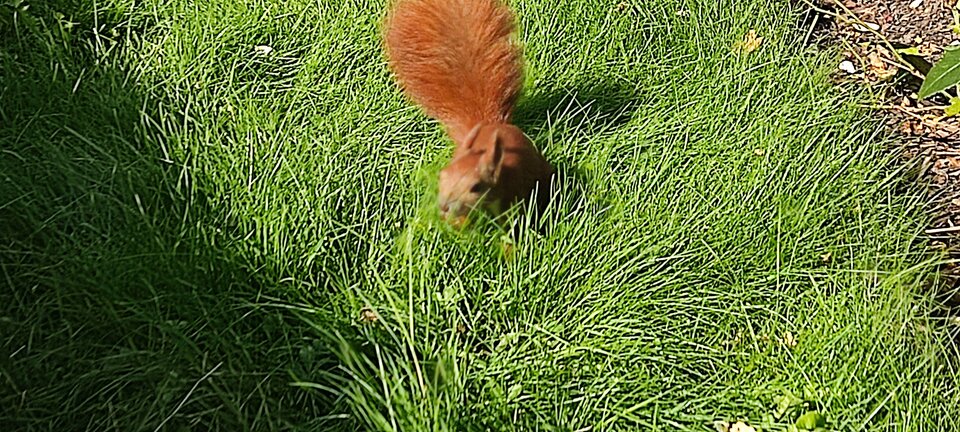 IMG_20250919_104031.jpg - edytkaandrzej