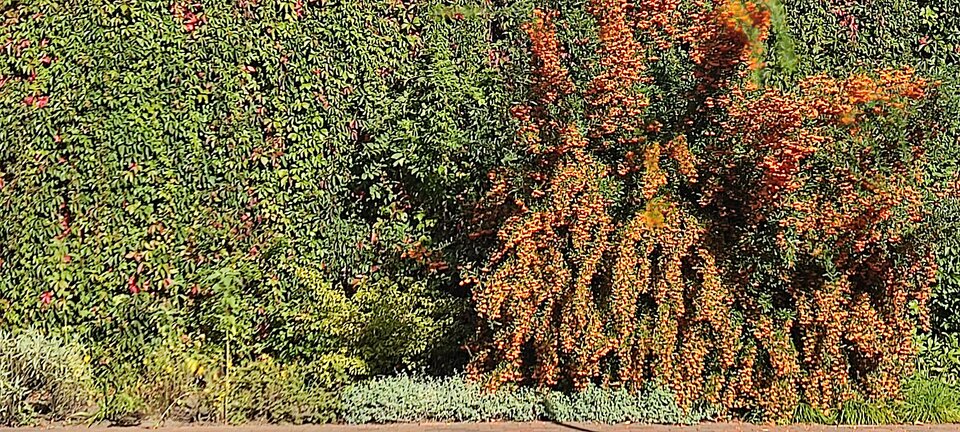 IMG_20250919_103820.jpg - edytkaandrzej