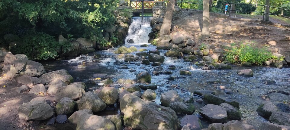 IMG_20250919_105144.jpg - edytkaandrzej