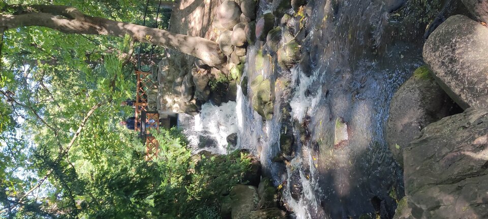 IMG_20250929_105110.jpg - edytkaandrzej