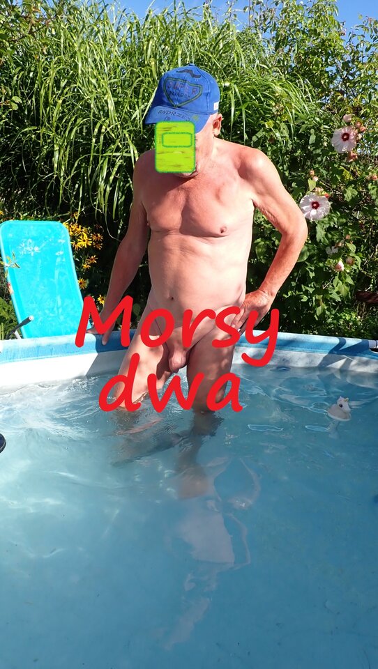 Ostatki lata w słoneczku. - Morsy_dwa