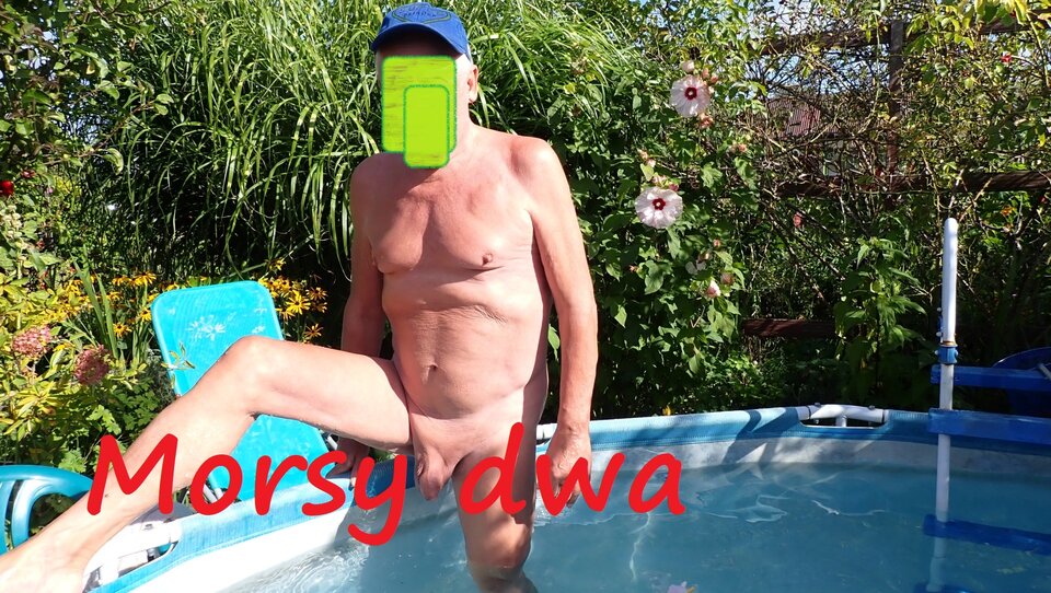 Ostatki lata w słoneczku. - Morsy_dwa