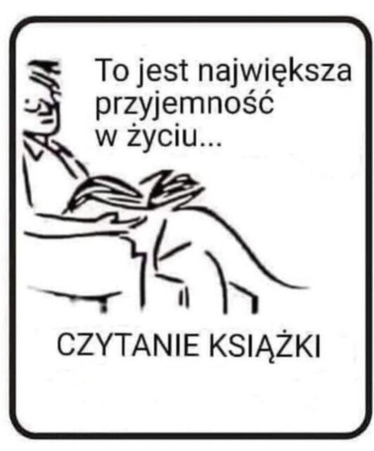 IMG_2090.jpeg - Bigbaboo