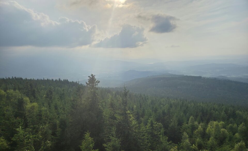 20250816_180827.jpg - LesnaDziewanna