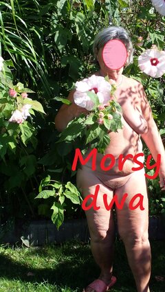 Ostatki lata w słoneczku.