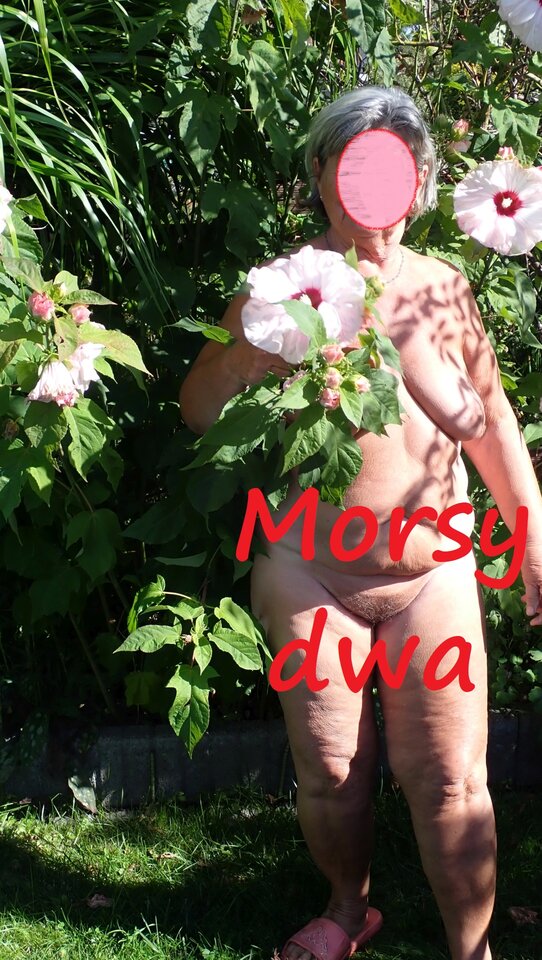 Ostatki lata w słoneczku. - Morsy_dwa