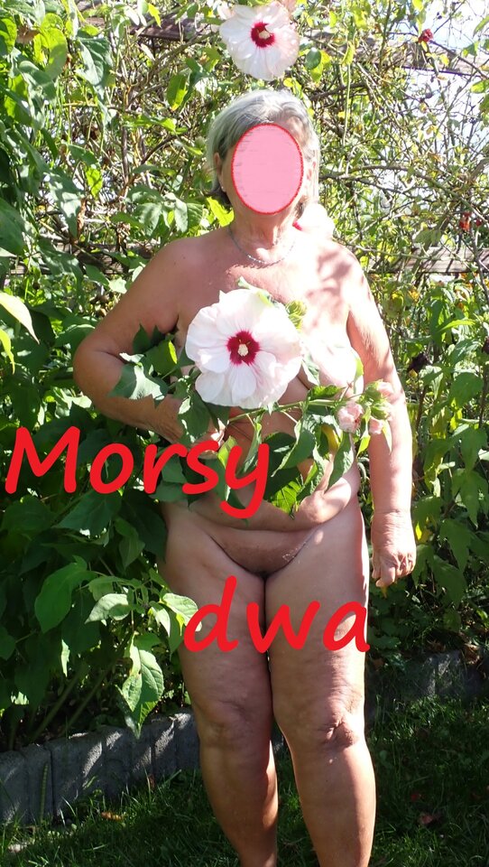 Ostatki lata w słoneczku. - Morsy_dwa