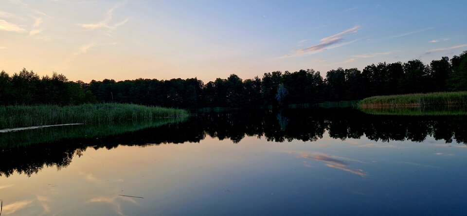 1000022105.jpg - Impulss_y