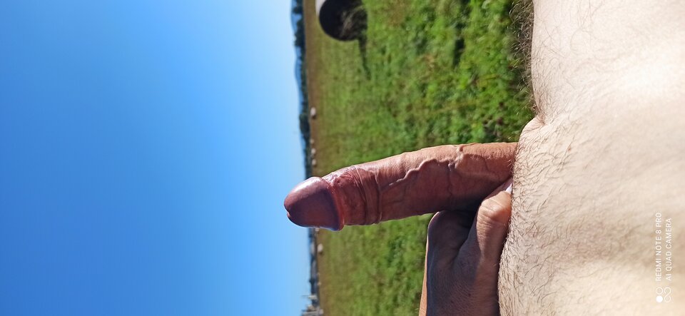 IMG_20250920_150028.jpg - bono1981