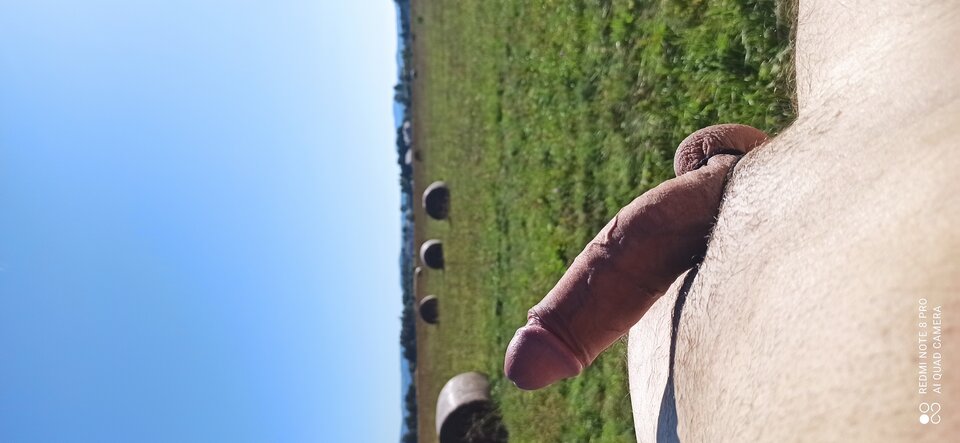 IMG_20250920_150101.jpg - bono1981