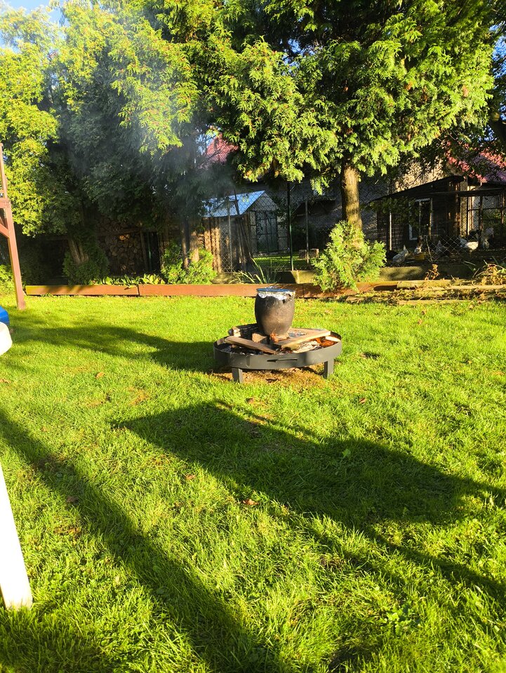 1000006365.jpg - maridamu1963