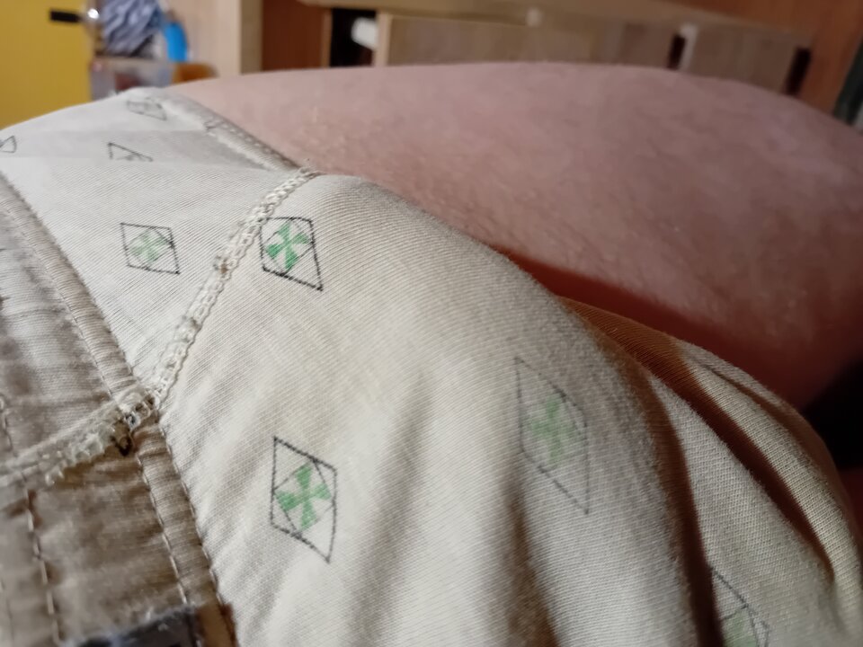 1000008762.jpg - brus13