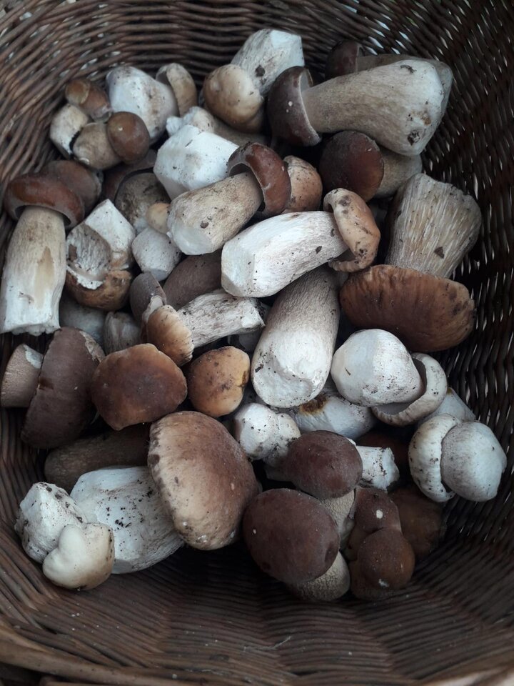 WhatsApp Image 2023-08-23 at 16.49.35hbh.jpeg - Gregory48