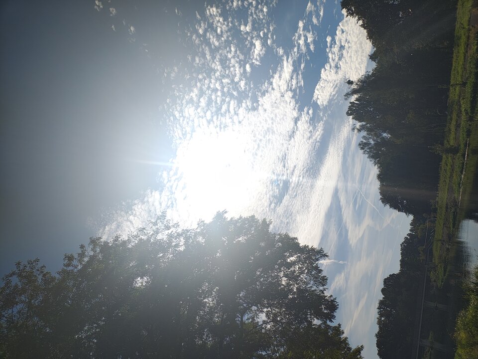 1000005309.jpg - Niunia109