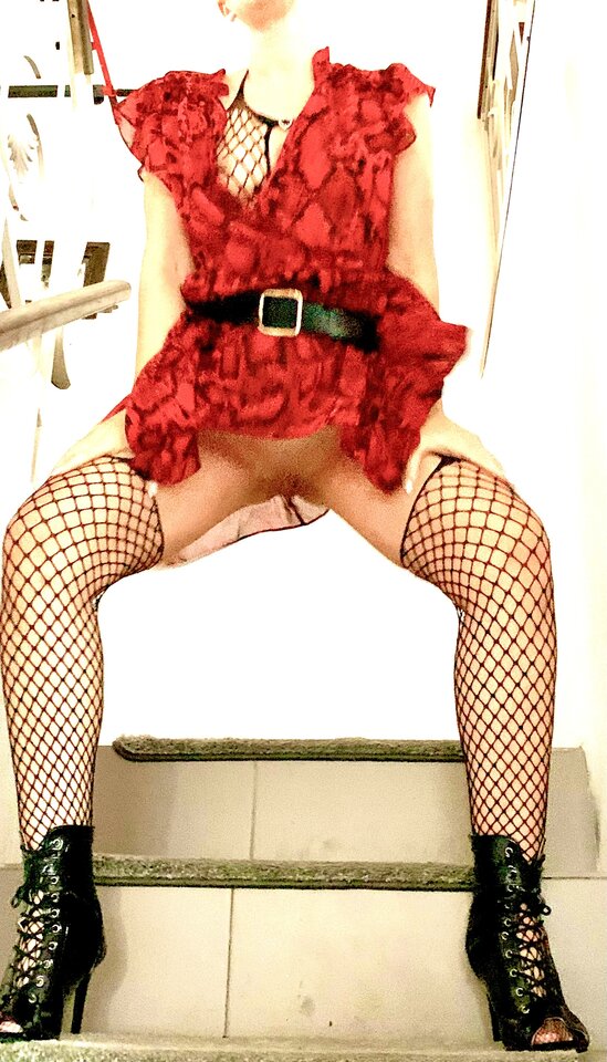 IMG_4582.jpeg - Mamrekin