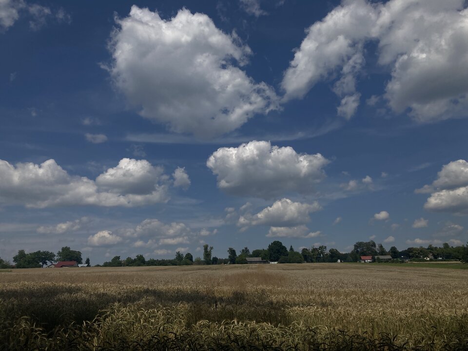 IMG_4741.jpeg - Damapik78