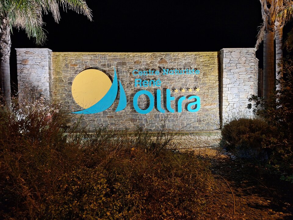 20250812_220331.jpg - ogolek