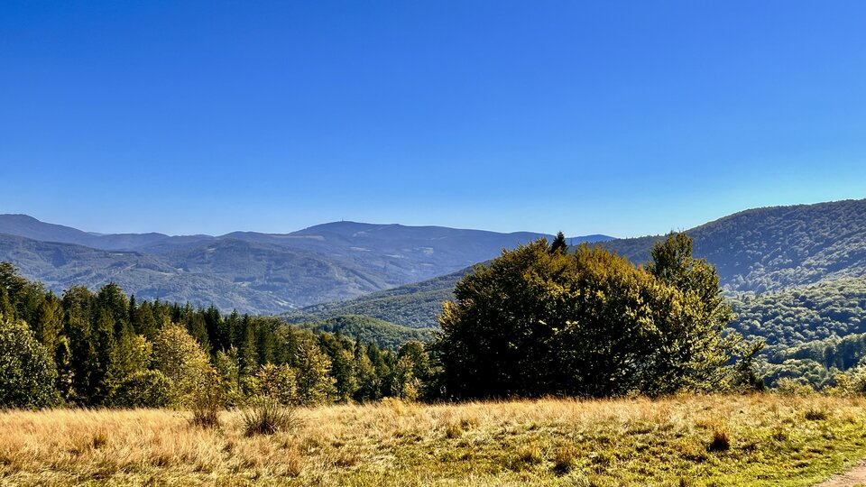 IMG_2187.jpeg - MarekAntoniusz12