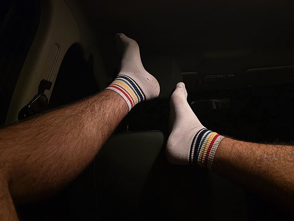 1000014274.jpg - toxict