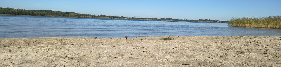 1000004599.jpg - Hewimetal