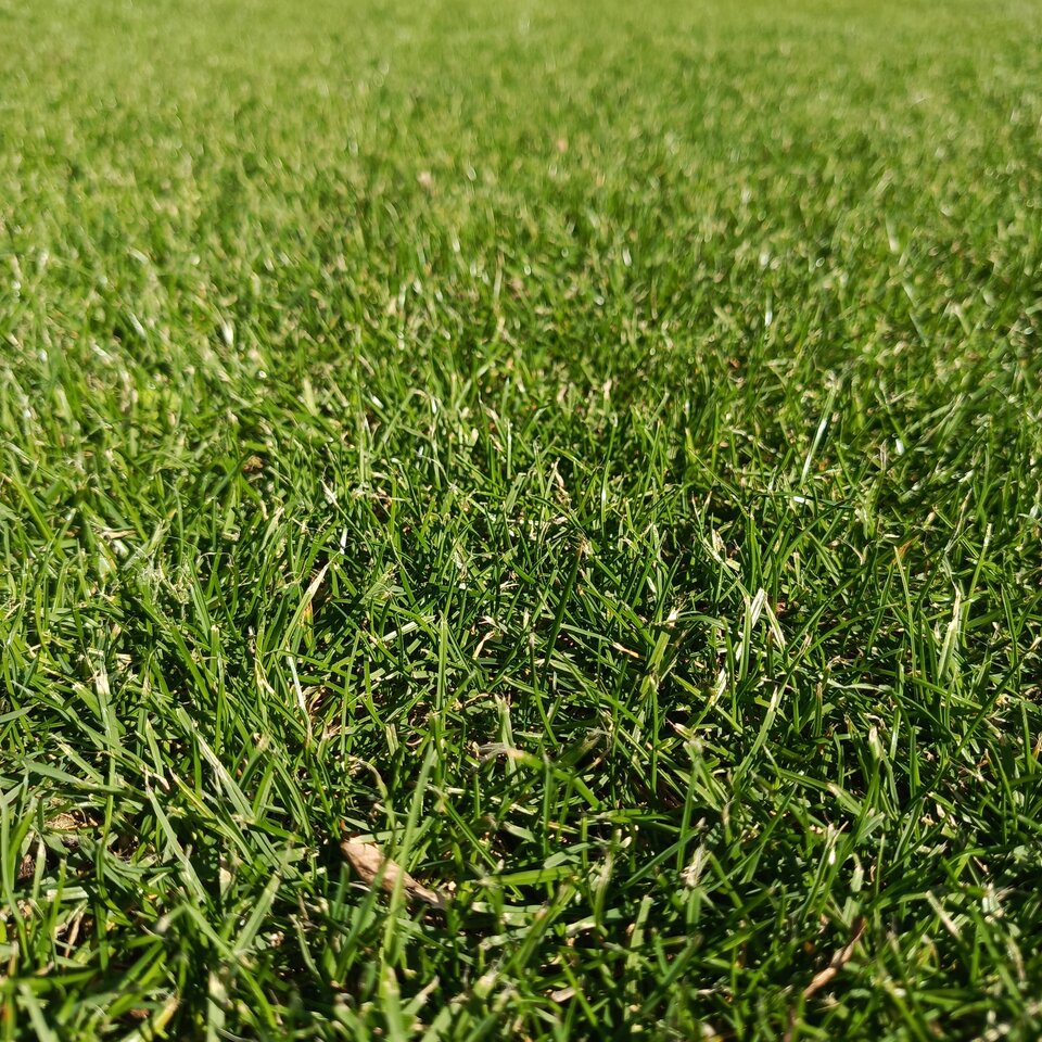 IMG_20250922_121430_779.jpg - Gregory48