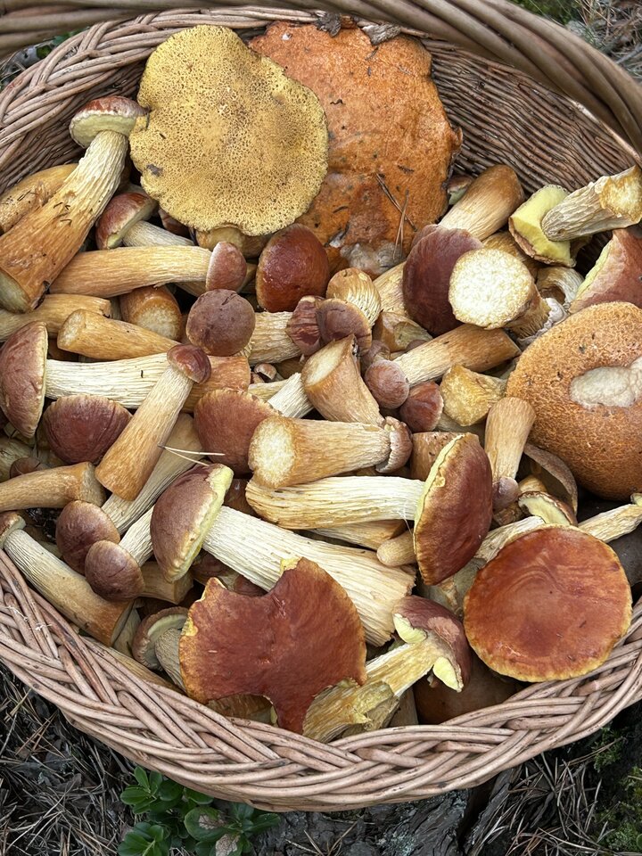 IMG_9192.jpeg - NaturystaXXX