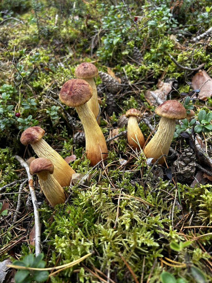 IMG_9190.jpeg - NaturystaXXX
