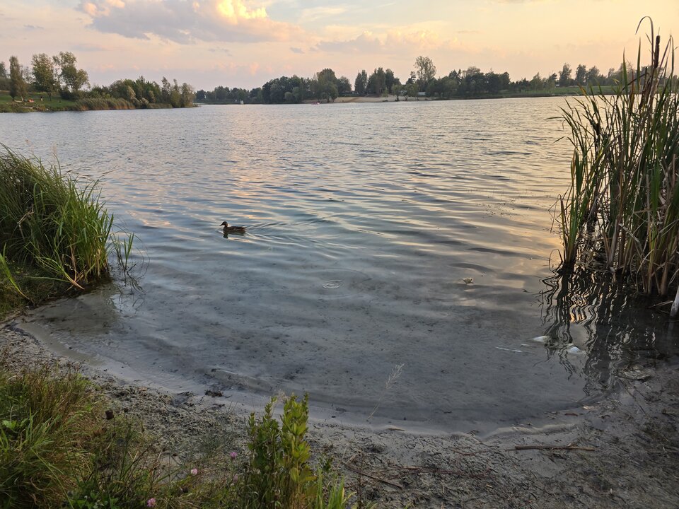 20250922_181228.jpg - MilyPawel6969