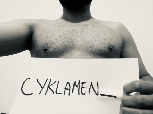 cyklamen_