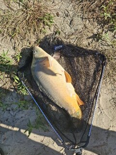 A Boże Narodzenie już niedługo...