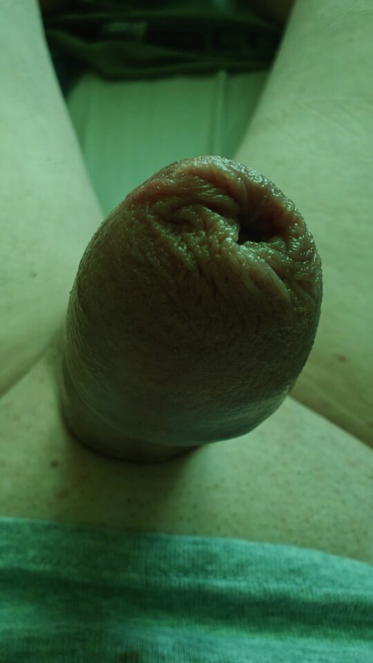 1000002566.jpg - fajnykutasek25