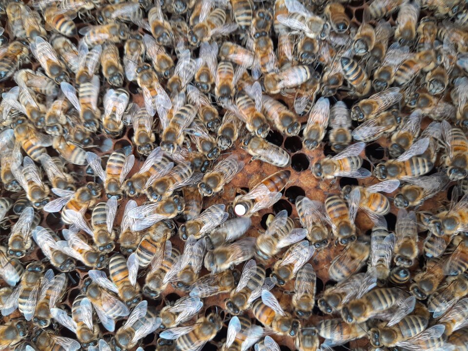 1000002301.jpg - swdc144