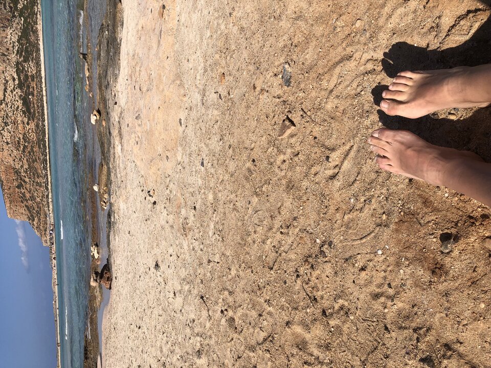 IMG_0680.jpeg - Lucyfer79wr