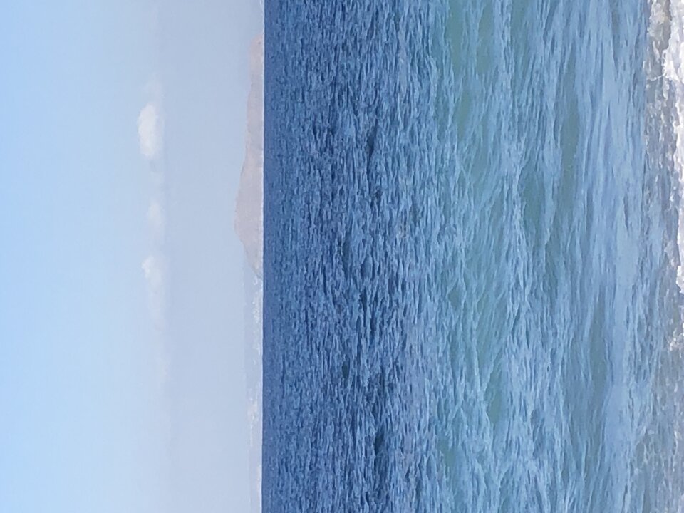 IMG_0667.jpeg - Lucyfer79wr