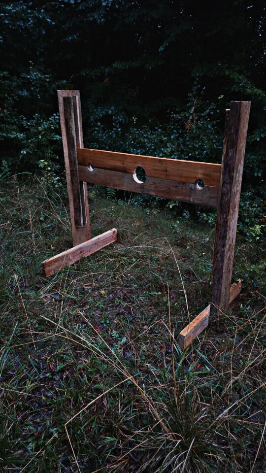 1000006660.jpg - Robimygo