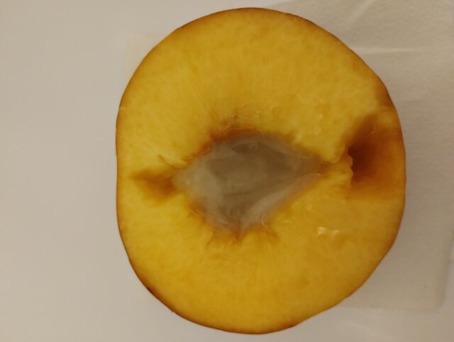 dawcarozkoszy84sprawdzto