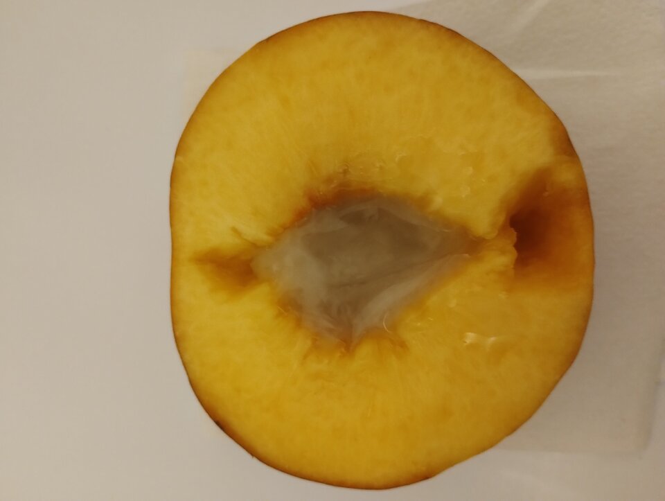 IMG_20250923_203902690.jpg - dawcarozkoszy84sprawdzto